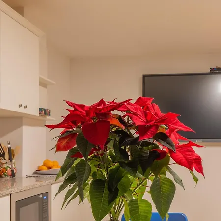 Fare Bio Bed & Breakfast Tarvisio